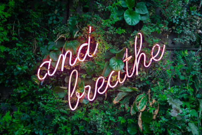 Image of a tree with a neon sign saying 'and breathe'