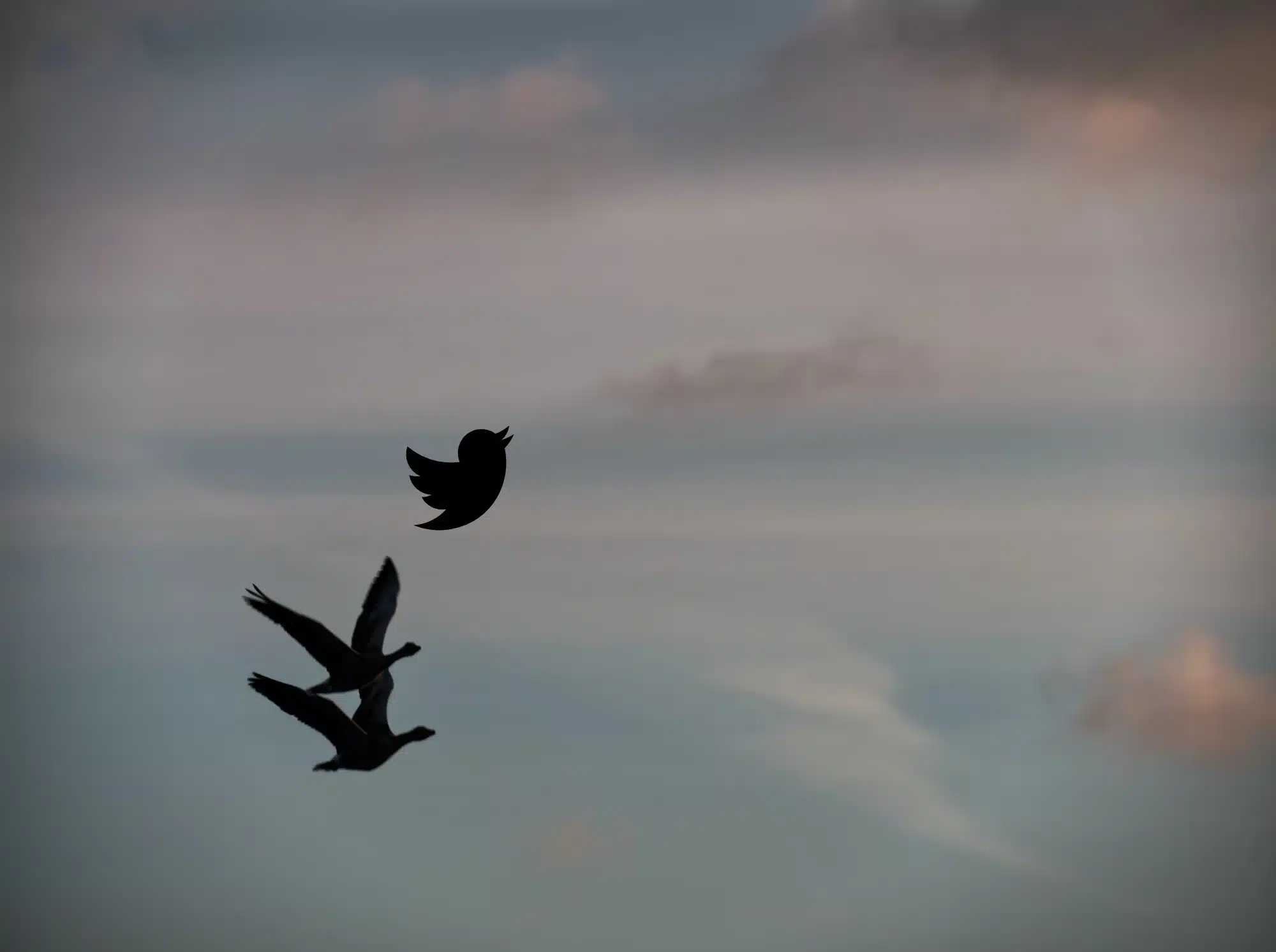 How to migrate from Twitter/X to Bluesky: the ultimate guide