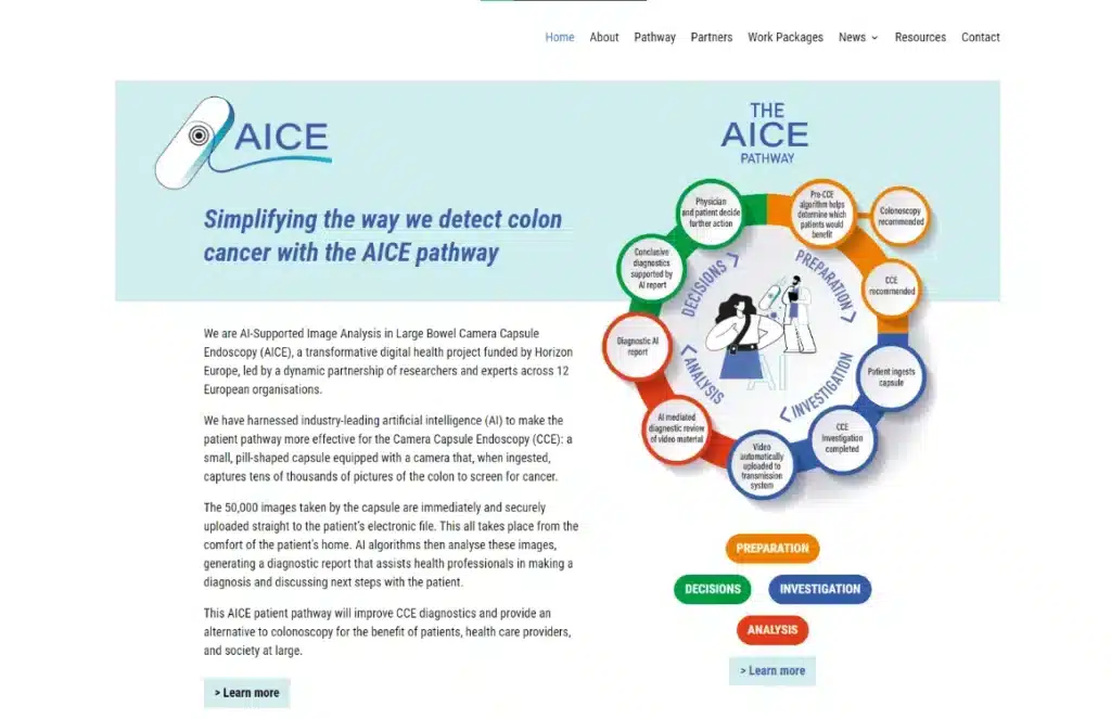 Screenshot of the The AICE Pathway project
