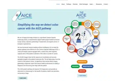 AICE Project: AI in Healthcare research project web design